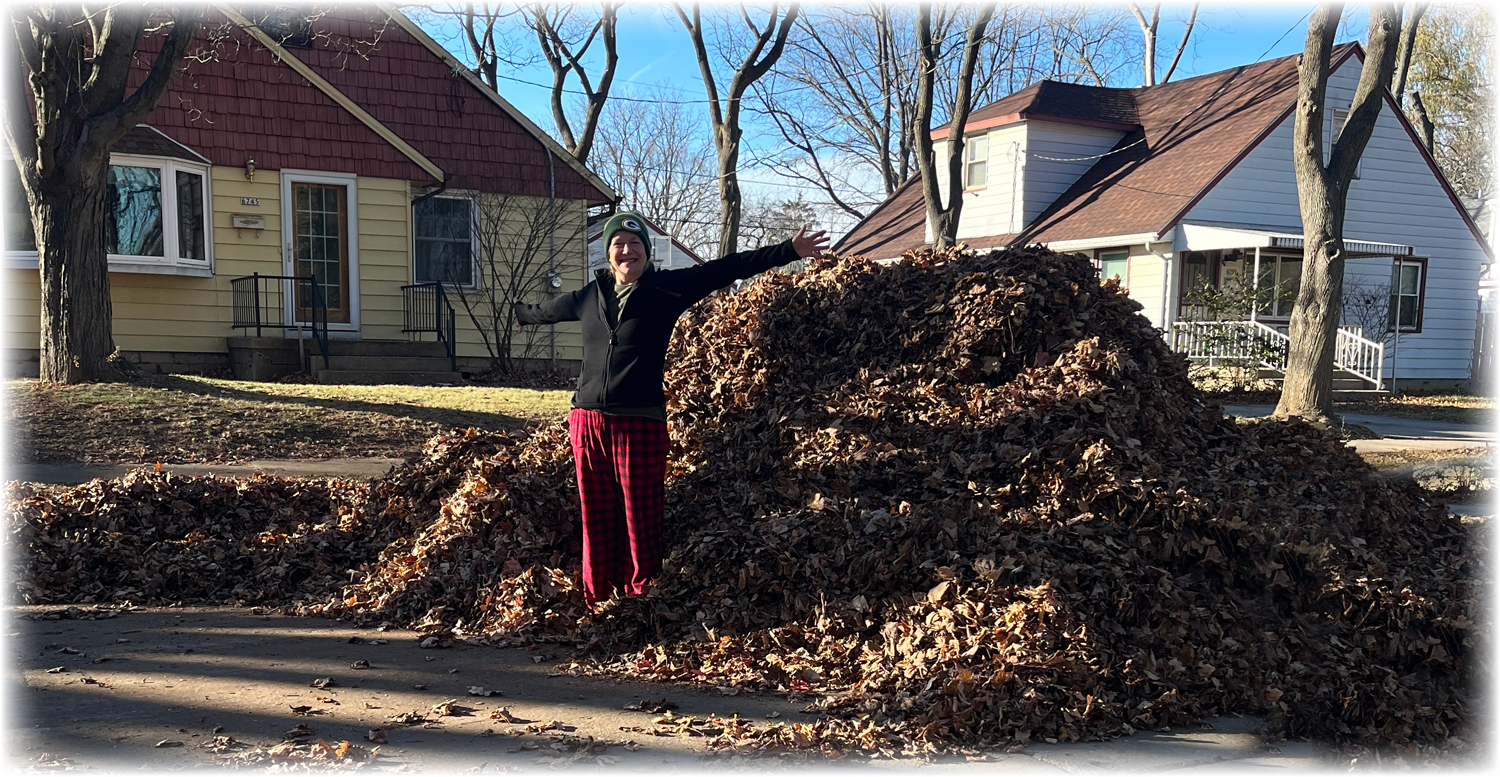 Compost Those Fall Leaves!