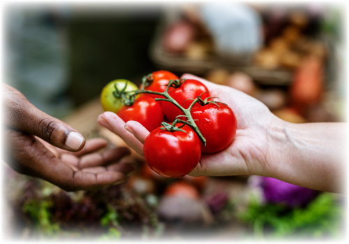SharingTomatoes